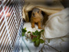 009-IMG_3815