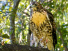 IMG_4200-Edit