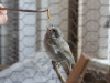IMG_5460-Edit-2
