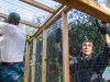 aviary_construction_IMG_6820