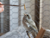 IMG_5460-Edit-3