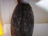 IMG_3393-Edit.jpg