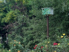 nest-box-in-garden