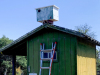 owl-on-barn