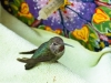 img_5022-20130423