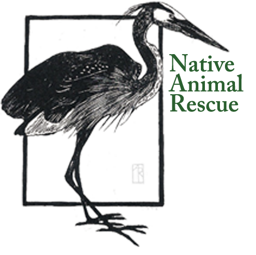 Native Animal Rescue