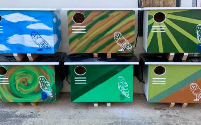 Native Animal Rescue’s Owl Nest Box Program