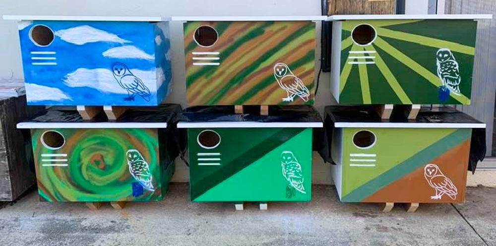 Native Animal Rescue’s Owl Nest Box Program